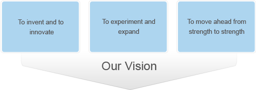 Our Vision